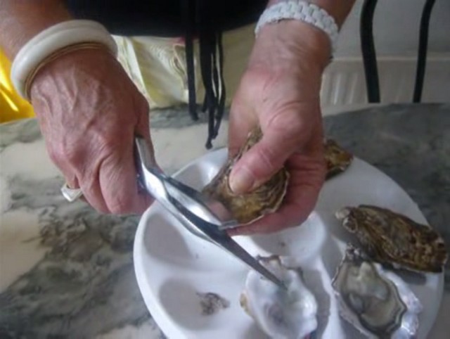 YARNOW Écaillage D' huîtres Pince Nature Hêtre Bois Oyster Titulaire Outil D' ouvreur Cuisine Gadget pour Oyster Clam Shellfish Fruits De Mer 